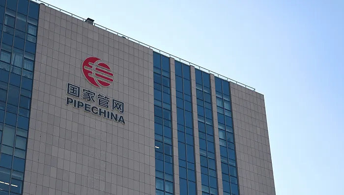 國(guó)家石油天然氣管網(wǎng)集團(tuán)有限公司，數(shù)字平臺(tái)招標(biāo)公告